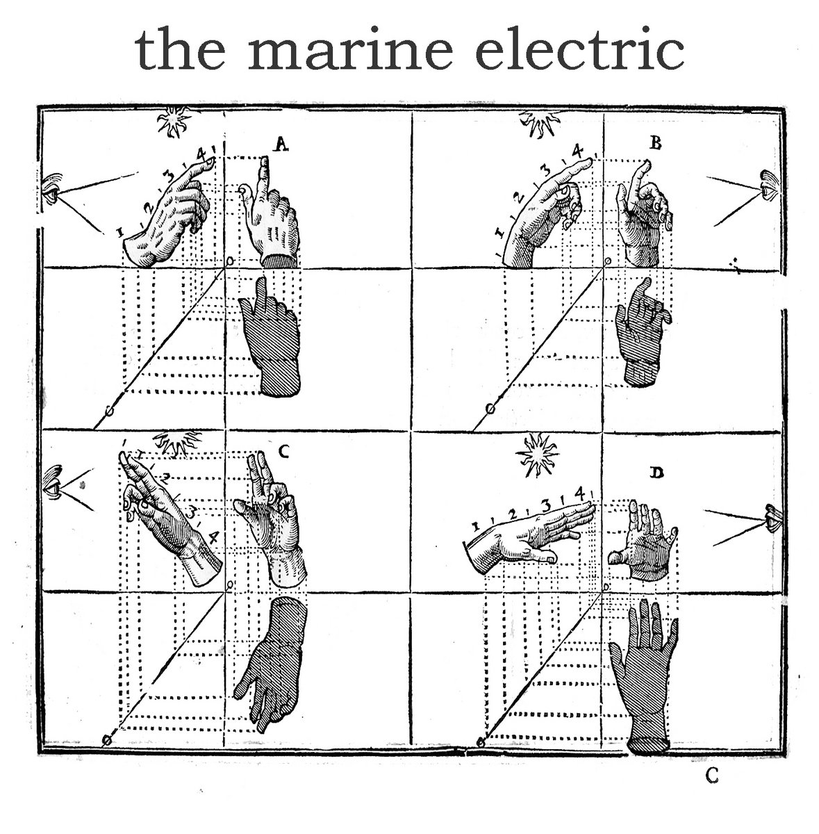 The Marine Electric: The Marine Electric